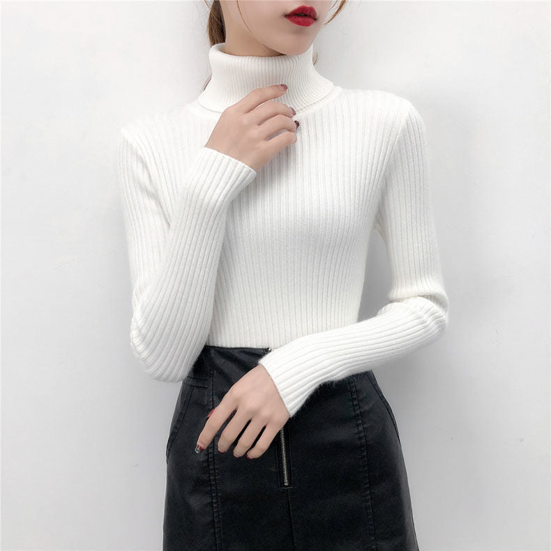 Turtleneck Sweater
