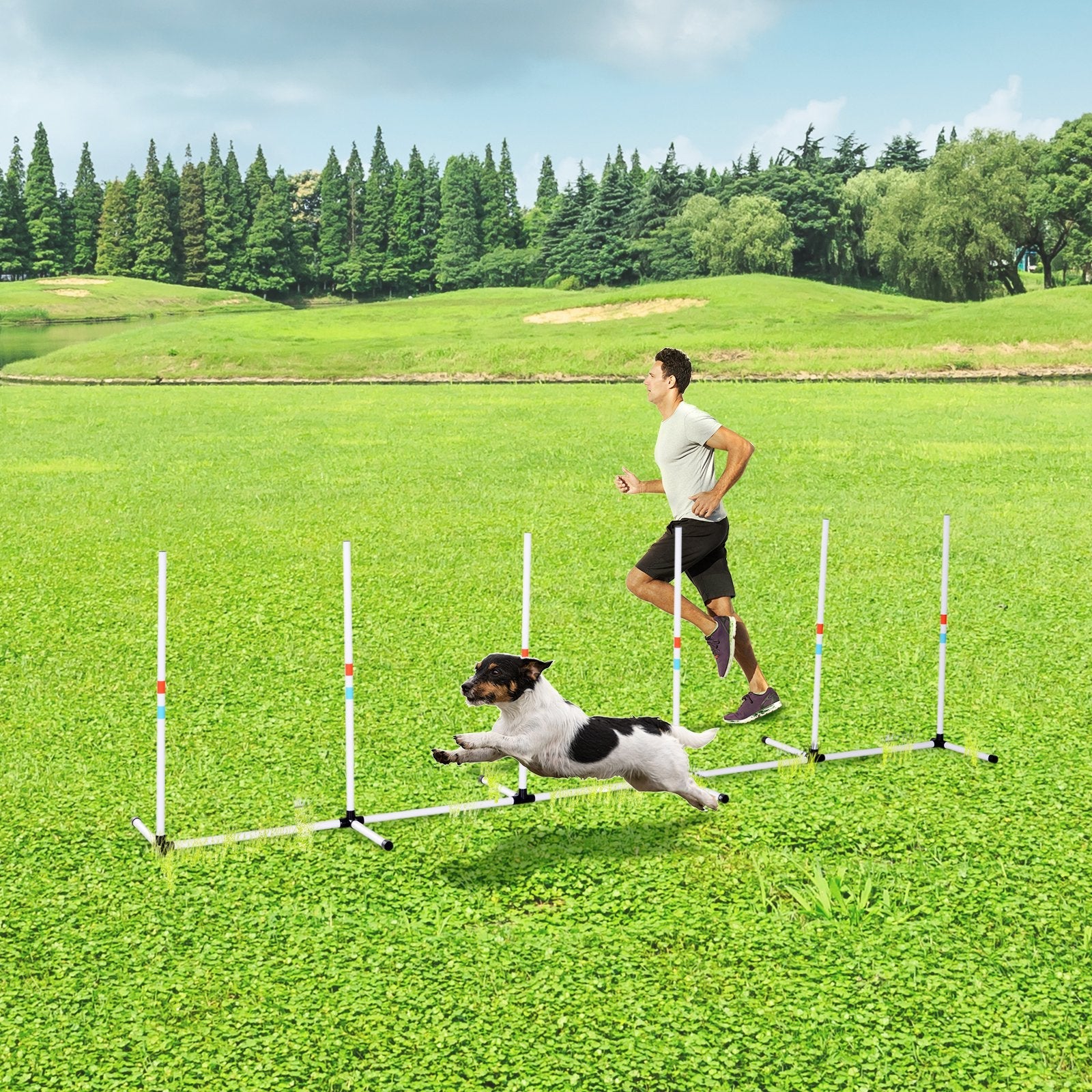 Man running with a dog through an agility course in a grassy field