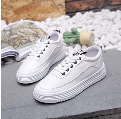 Women’s Canvas Shoes