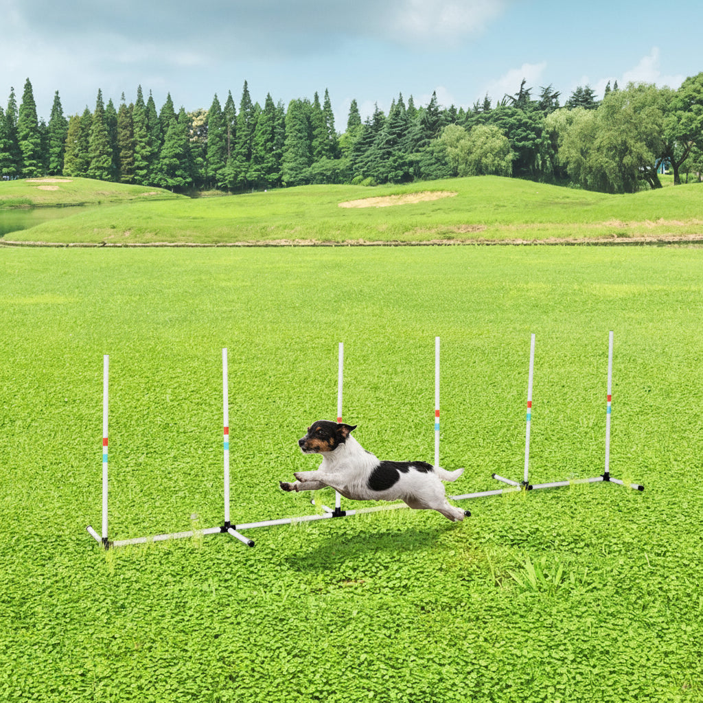 Man running with a dog through an agility course in a grassy field