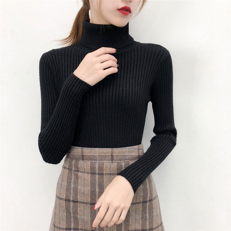 Turtleneck Sweater