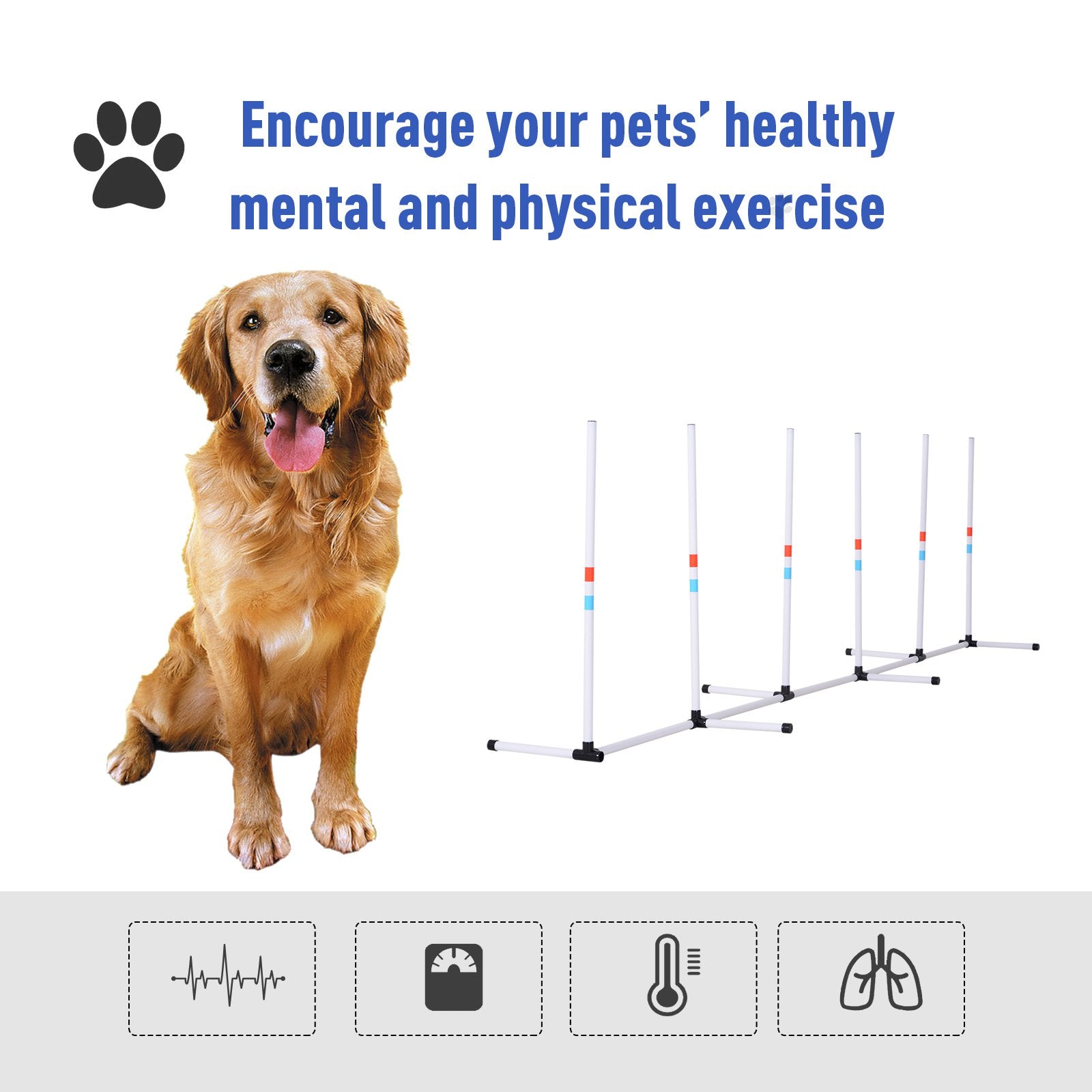 Dog sitting next to an agility course with text encouraging exercise.