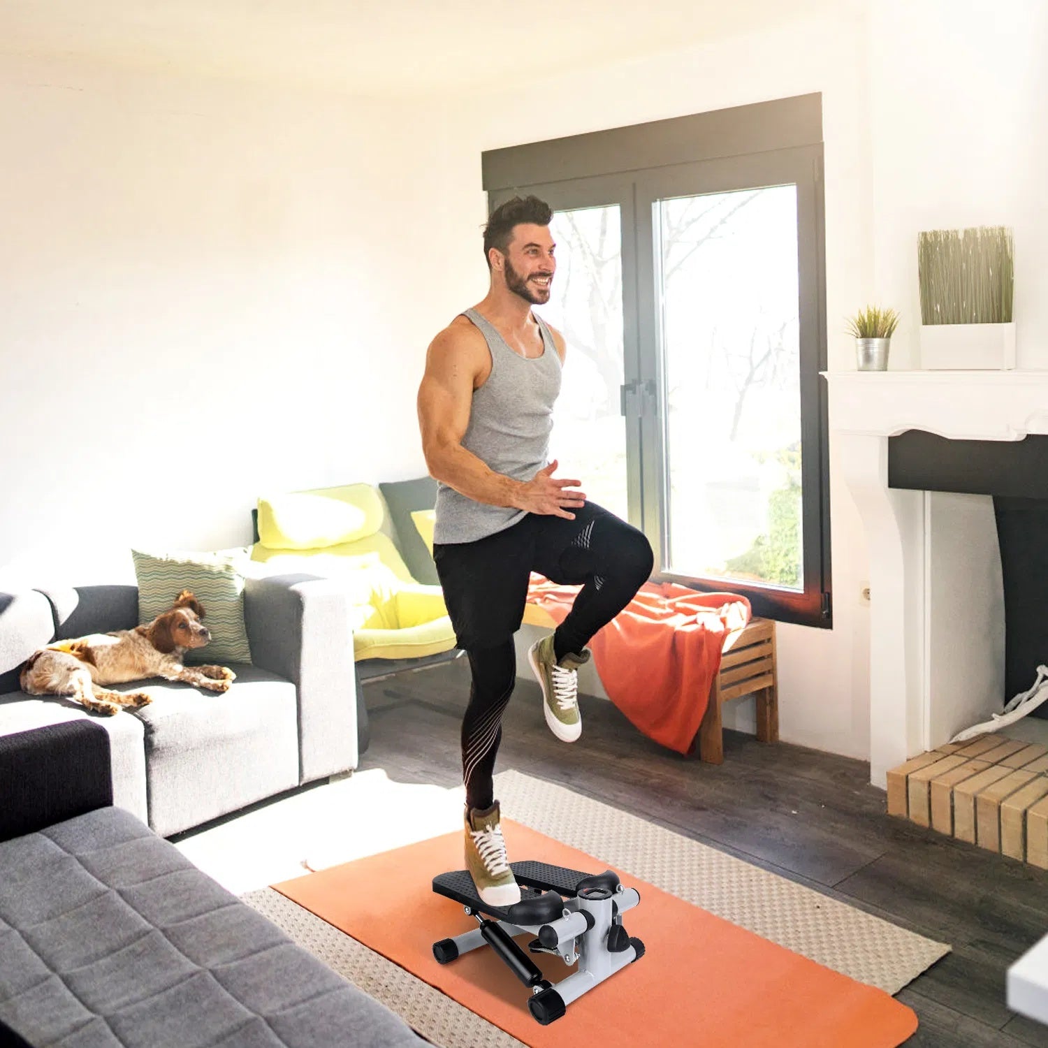 Mini-Home Stair Stepper