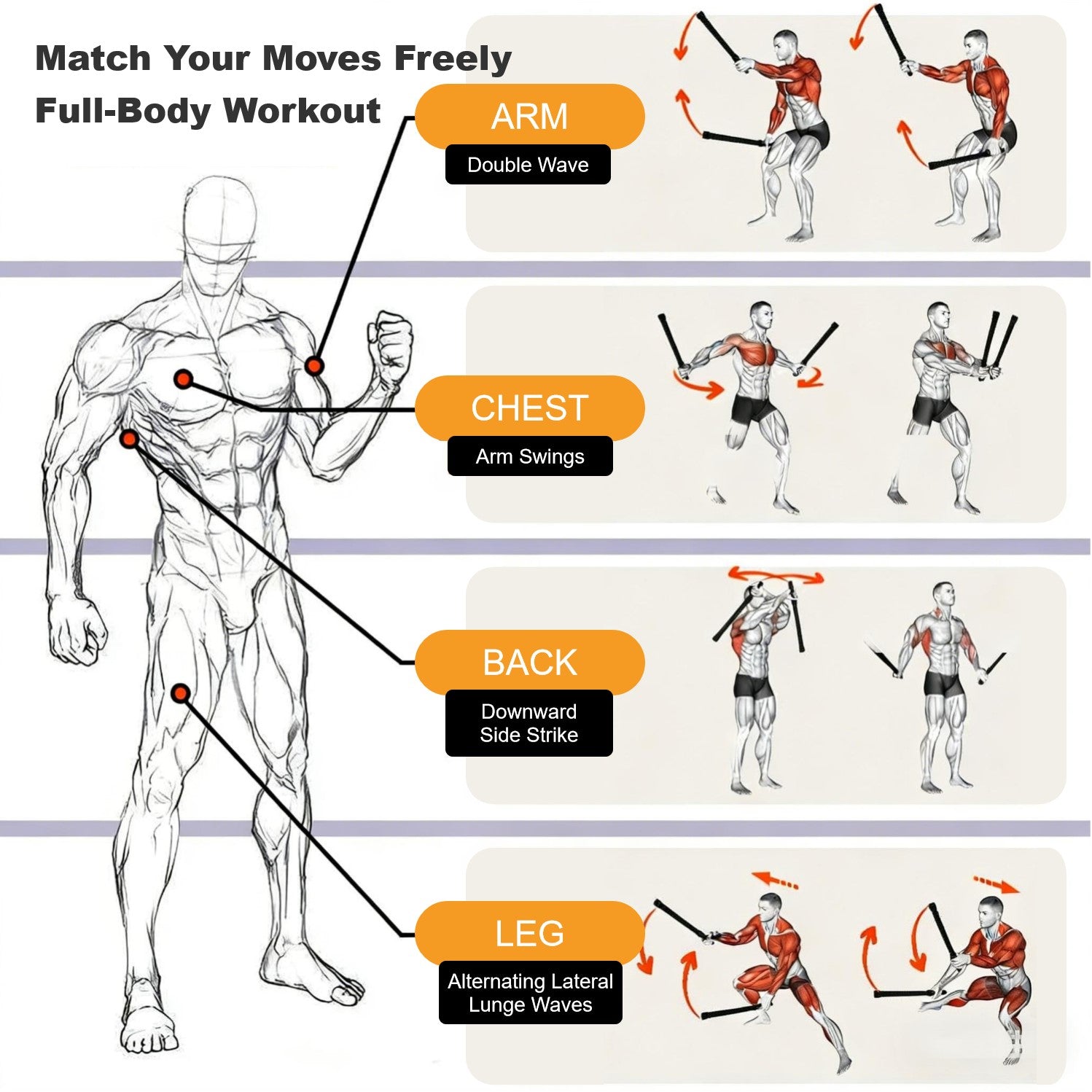 Full-body workout guide with arm, chest, back, and leg exercises using resistance bands.