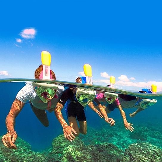 Group of people snorkeling underwater with clear blue water and a blue sky above.