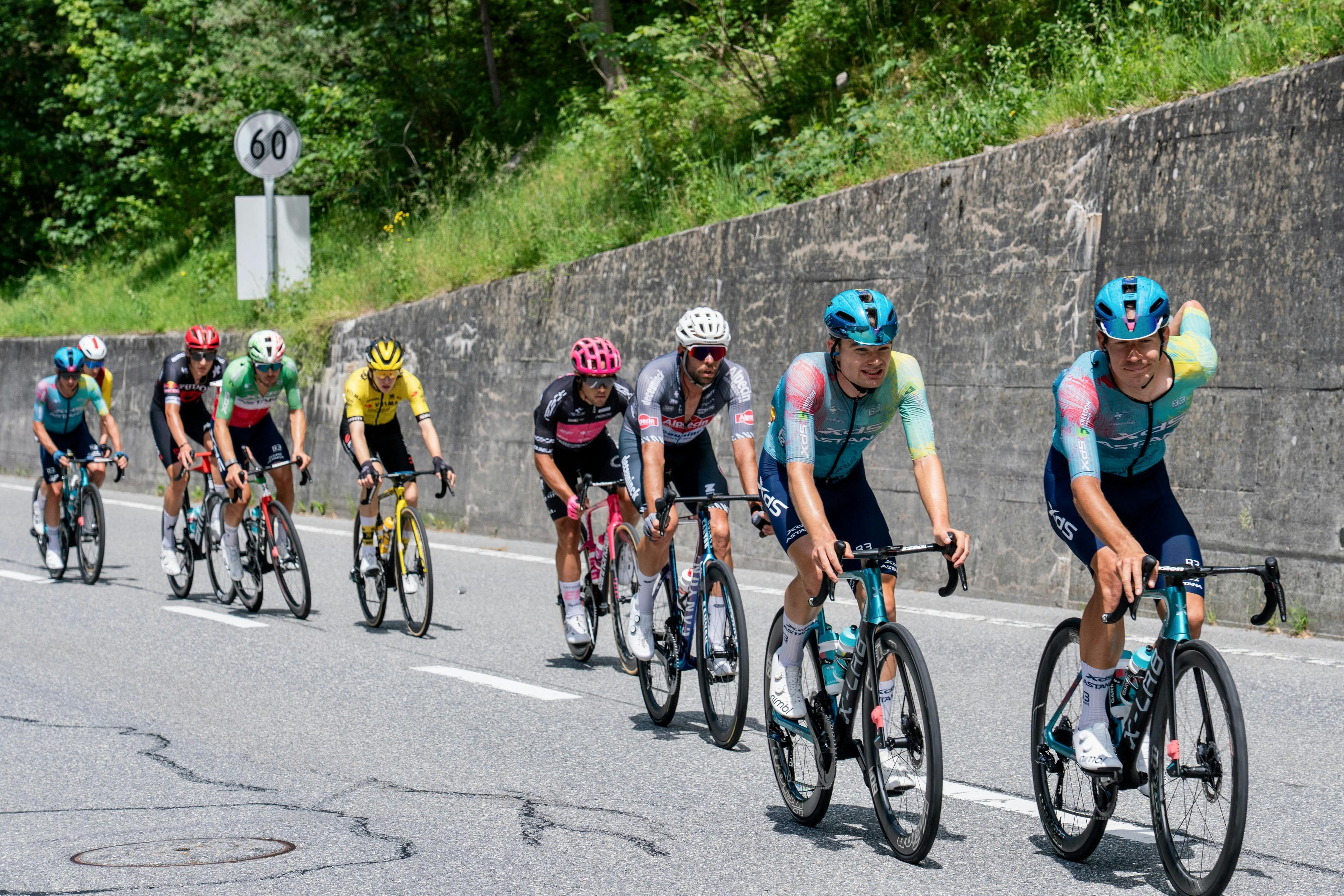 pexels-suju-32623370.jpg__PID:8bfdaefd-1326-4be7-ba14-a329f94d0614